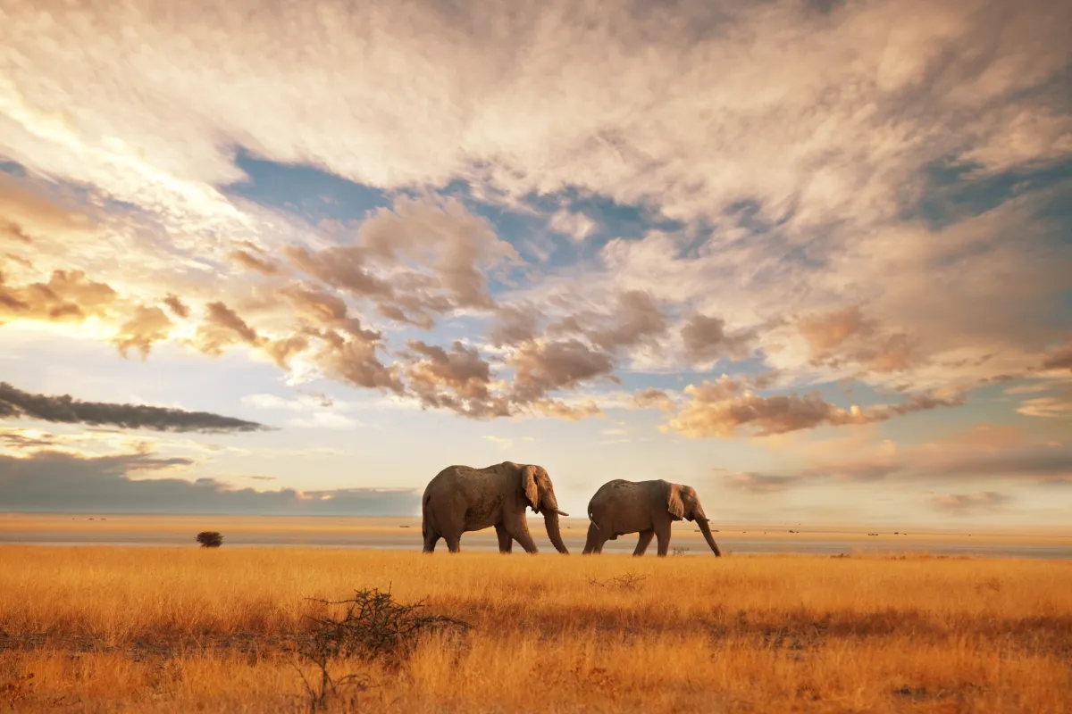 Landscape in Kenya